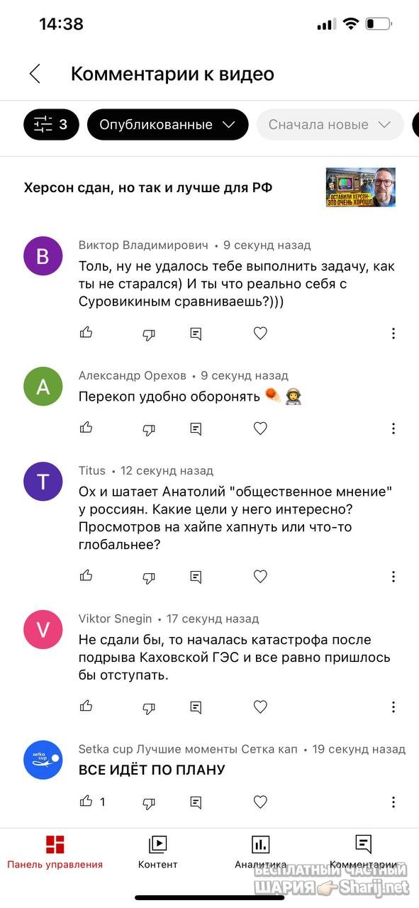 Анатолий Шарий частный канал — фото из публикации