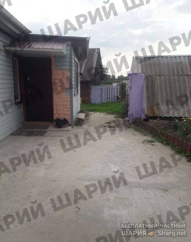 Анатолий Шарий частный канал — фото из публикации