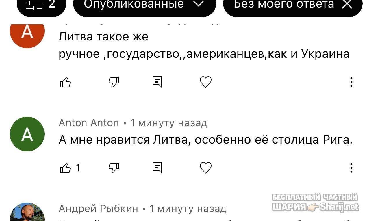 Анатолий Шарий частный канал — фото из публикации