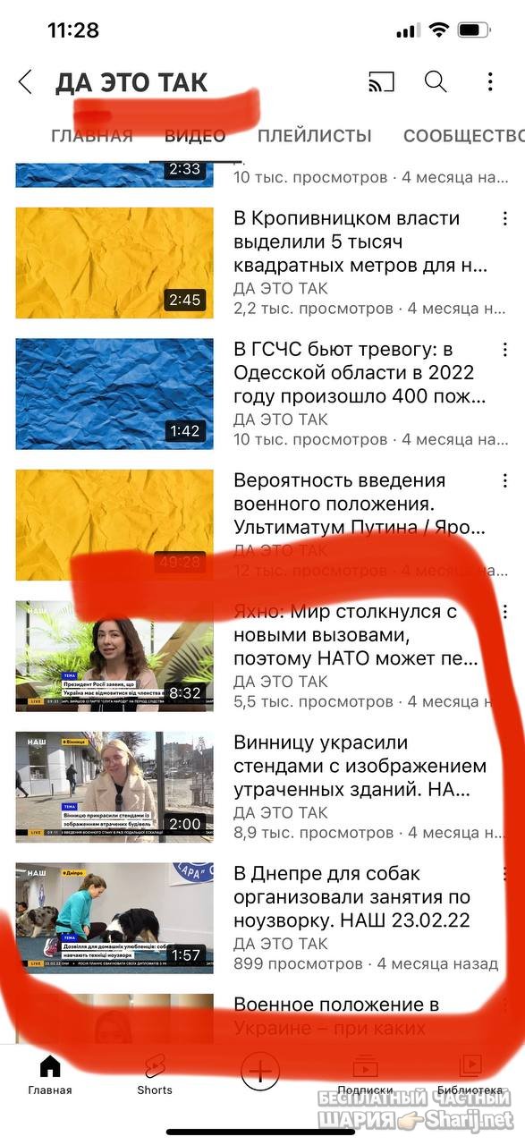Анатолий Шарий частный канал — фото из публикации