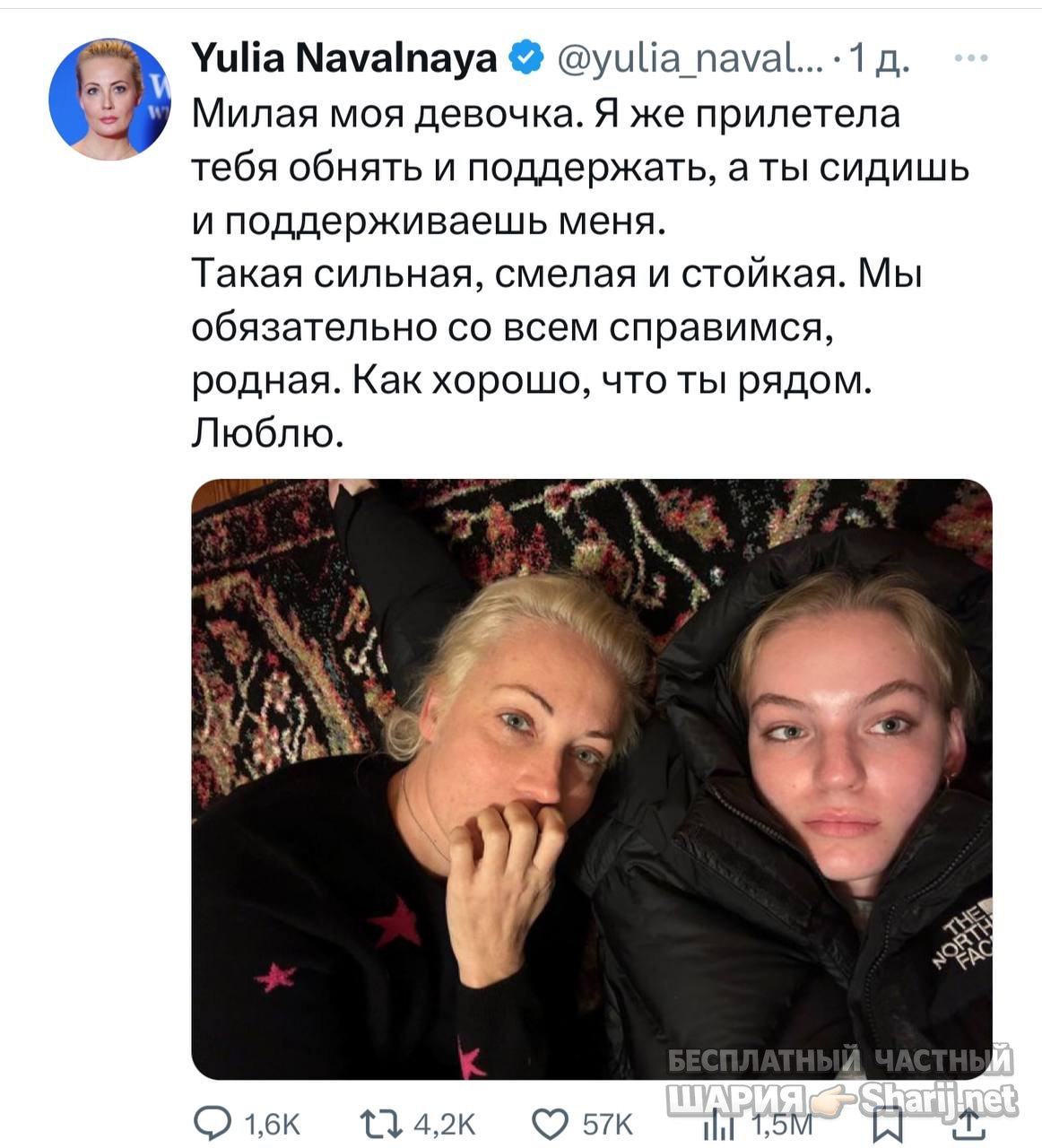 Анатолий Шарий частный канал — фото из публикации