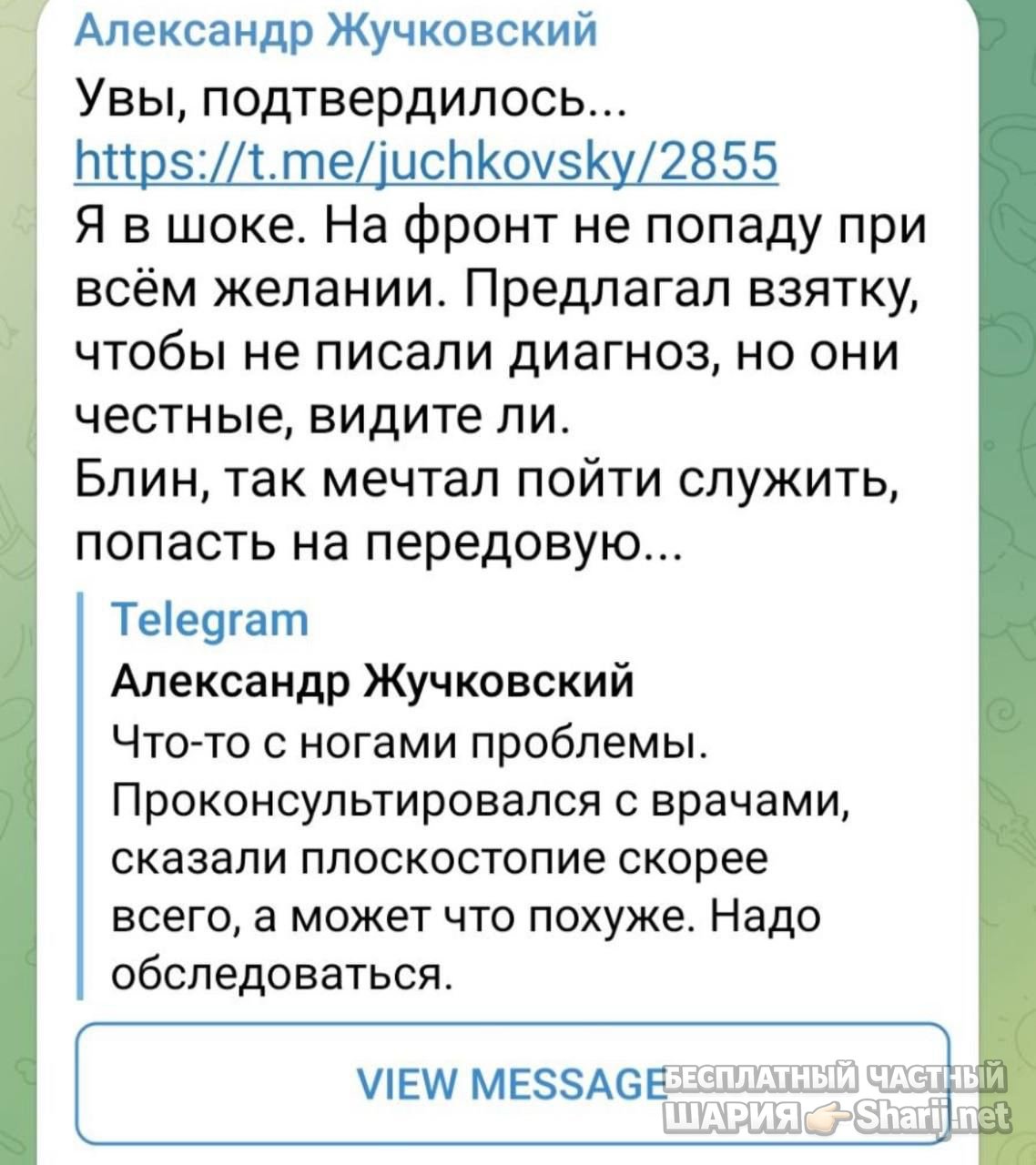 Анатолий Шарий частный канал — фото из публикации