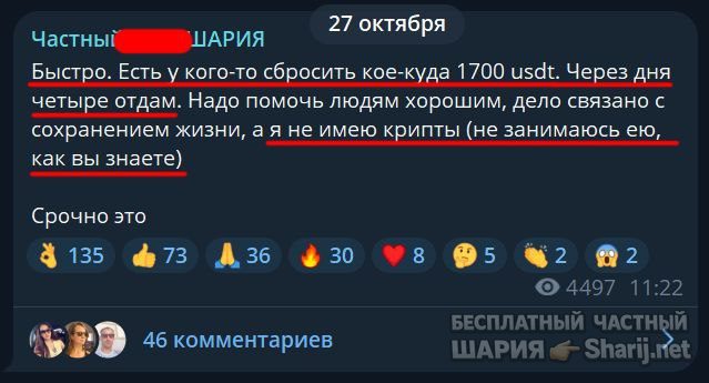 Труха Барселона — фото из публикации