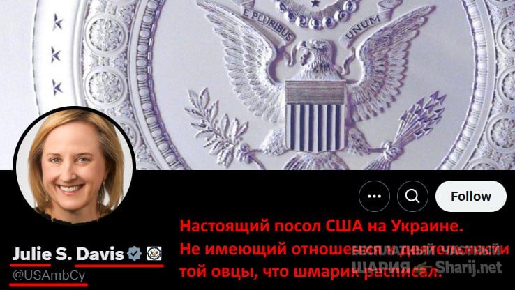 Труха Барселона — фото из публикации