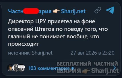 Труха Барселона — фото из публикации