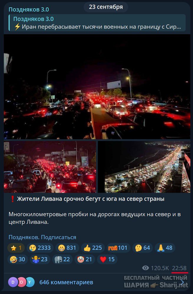 Труха Барселона — фото из публикации