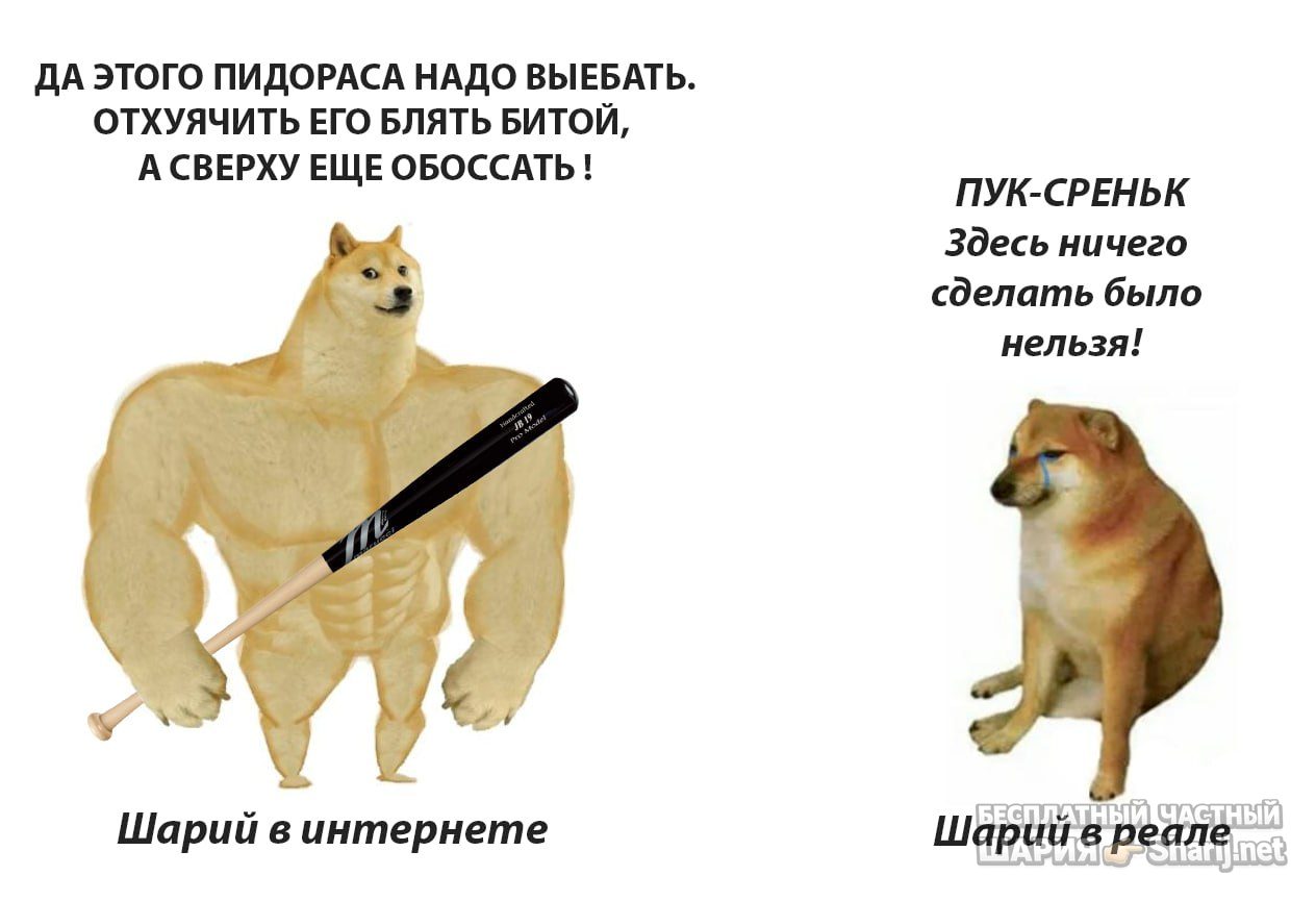 Труха Барселона — фото из публикации