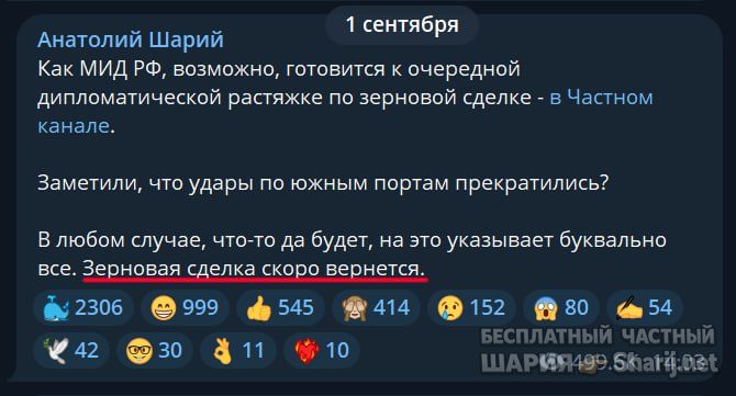 Труха Барселона — фото из публикации