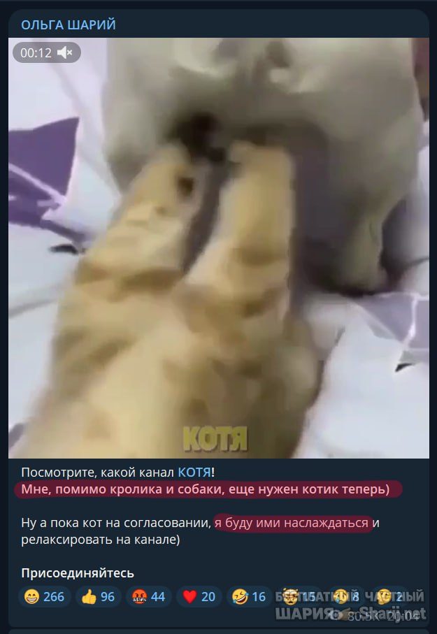 Труха Барселона — фото из публикации