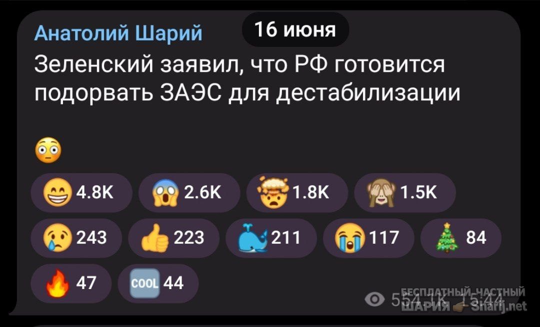 Труха Барселона — фото из публикации