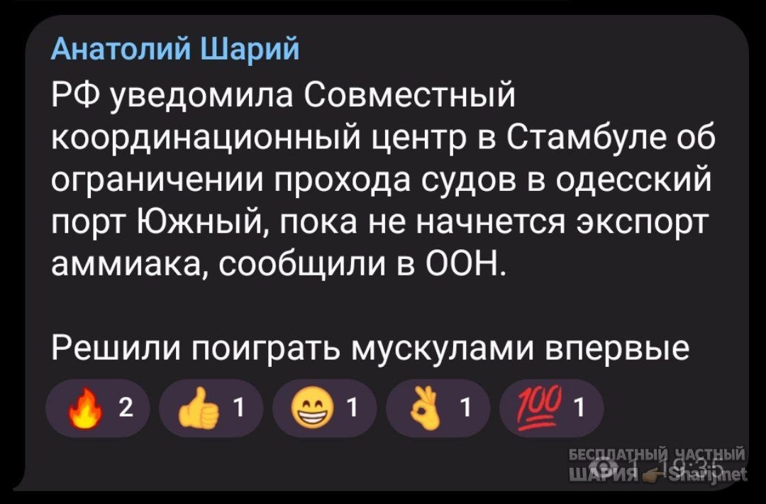Труха Барселона — фото из публикации