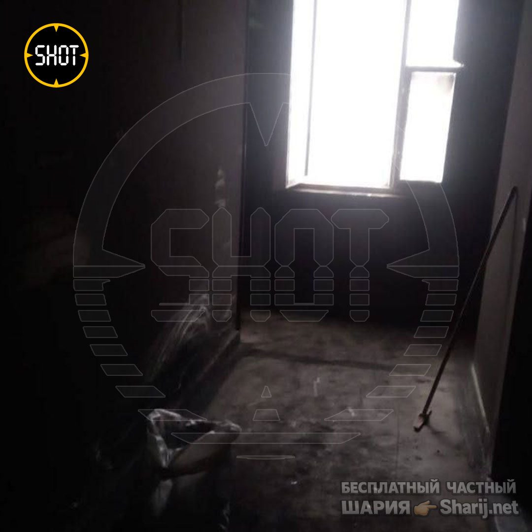 Труха Барселона — фото из публикации