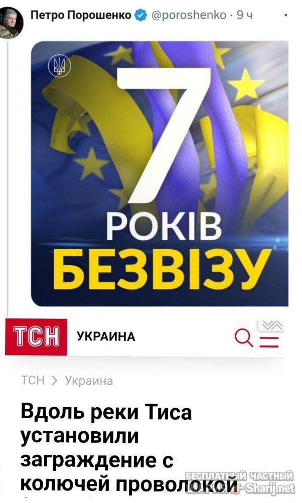 Труха Барселона — фото из публикации