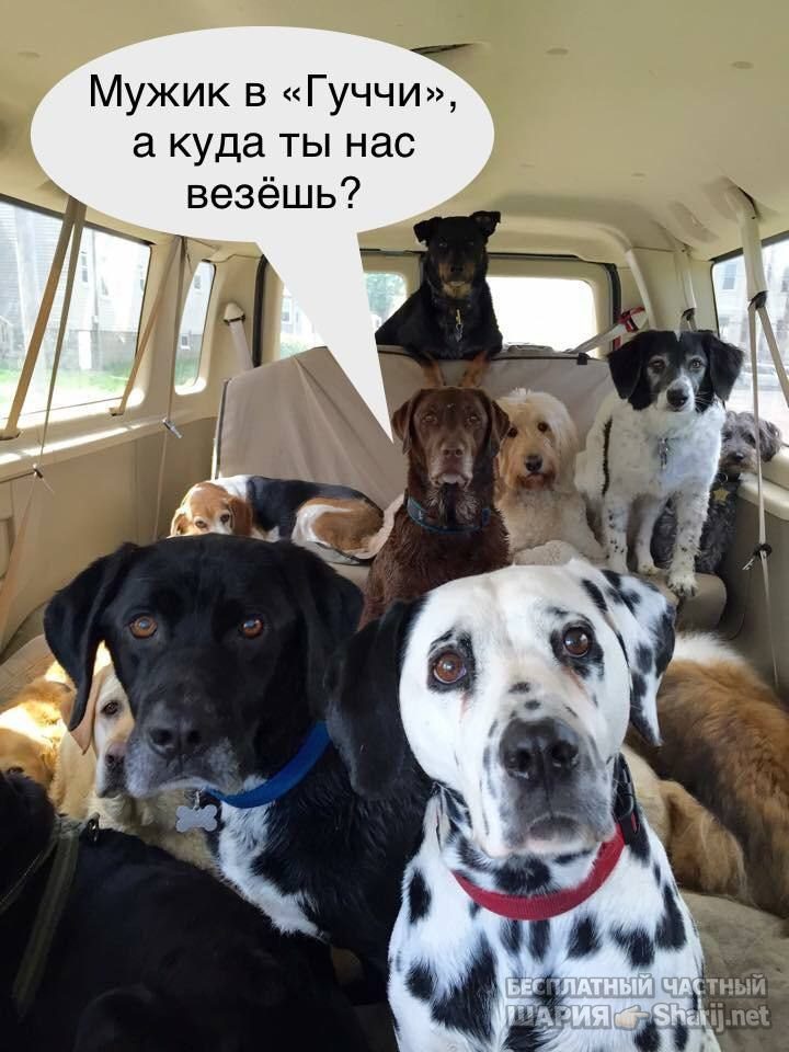 Труха Барселона — фото из публикации
