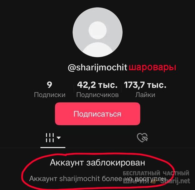 Труха Барселона — фото из публикации