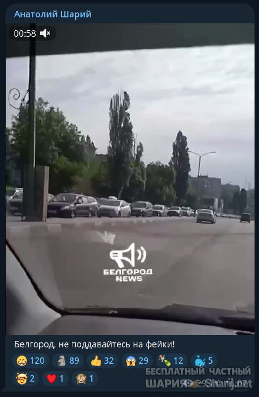 Труха Барселона — фото из публикации