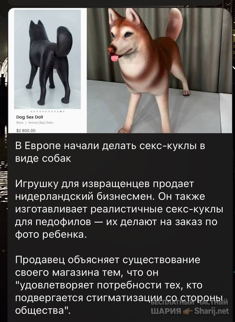 Труха Барселона — фото из публикации