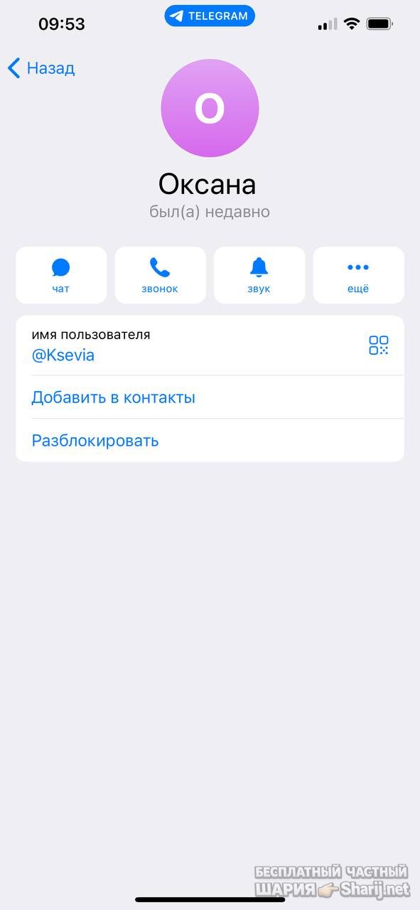 Анатолий Шарий частный канал — фото из публикации