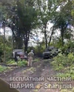 Анатолий Шарий частный канал — фото из публикации