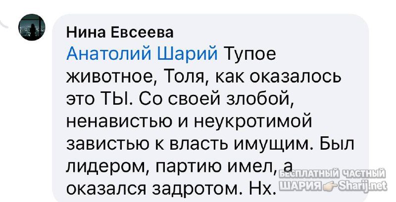 Анатолий Шарий частный канал — фото из публикации
