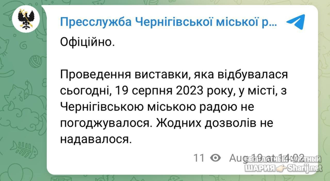 Анатолий Шарий частный канал — фото из публикации