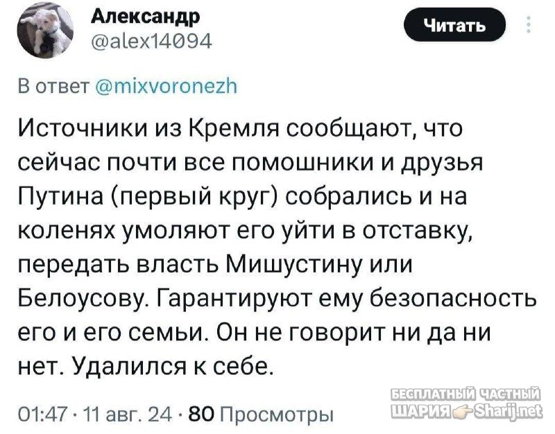 Анатолий Шарий частный канал — фото из публикации