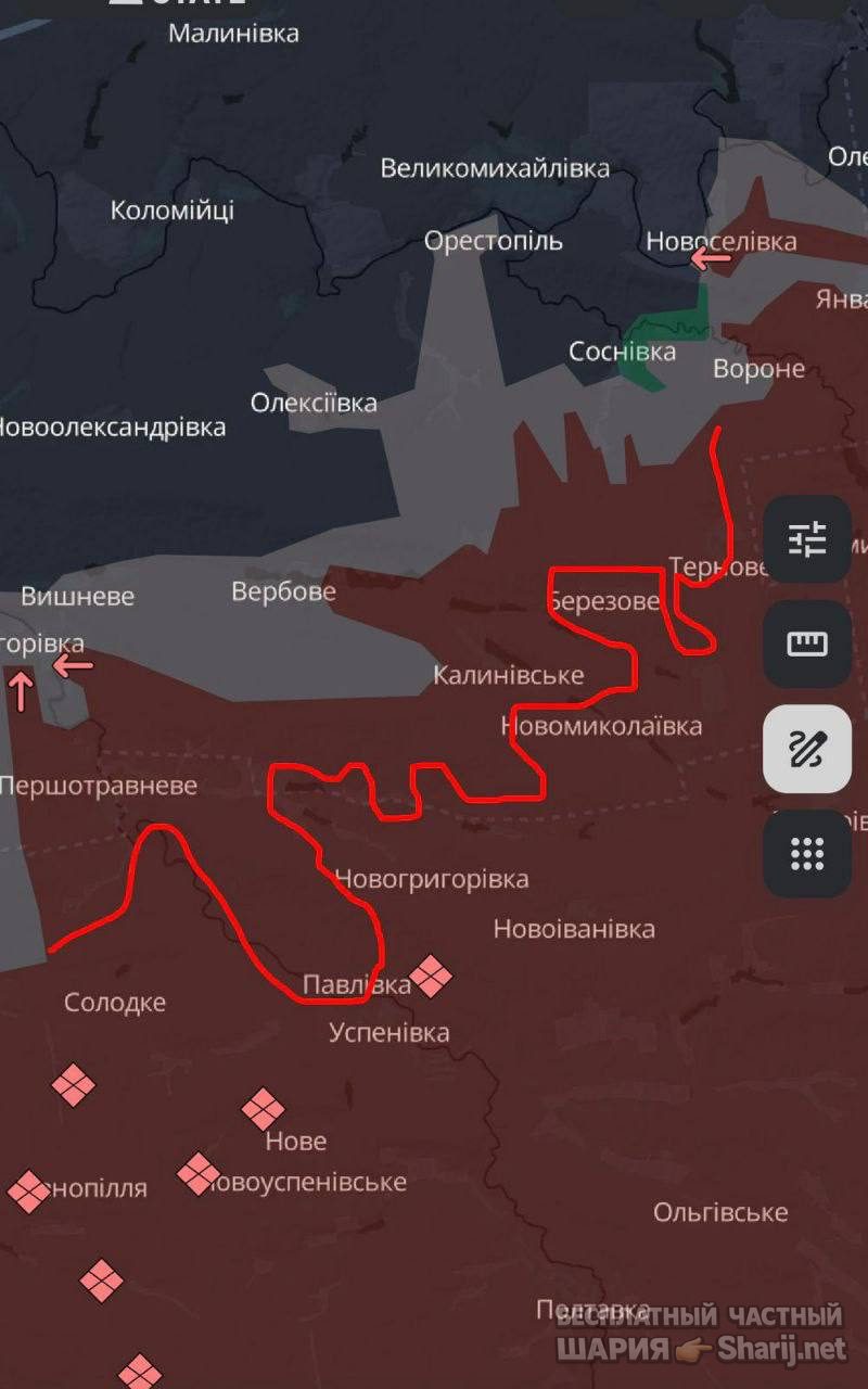Анатолий Шарий частный канал — фото из публикации