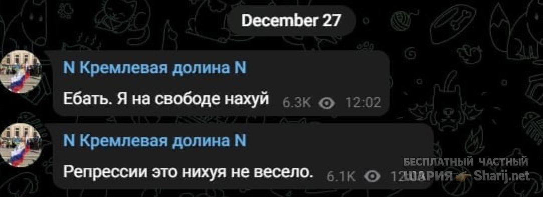 Анатолий Шарий частный канал — фото из публикации