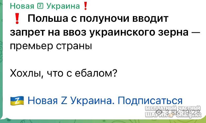 Анатолий Шарий частный канал — фото из публикации