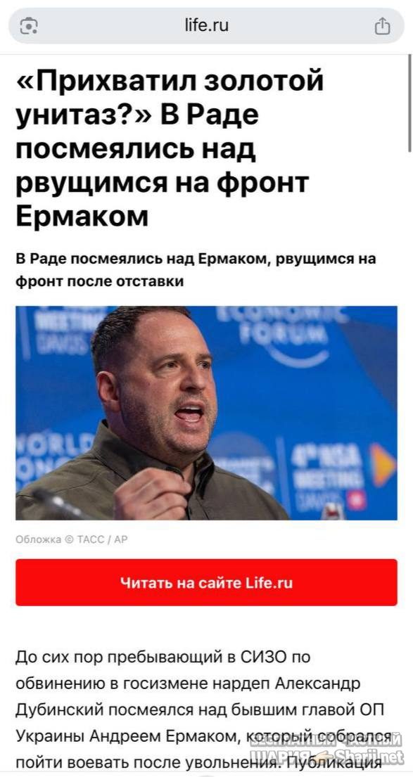 Анатолий Шарий частный канал — фото из публикации