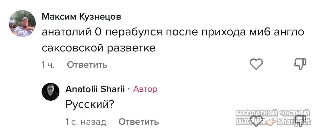 Анатолий Шарий частный канал — фото из публикации