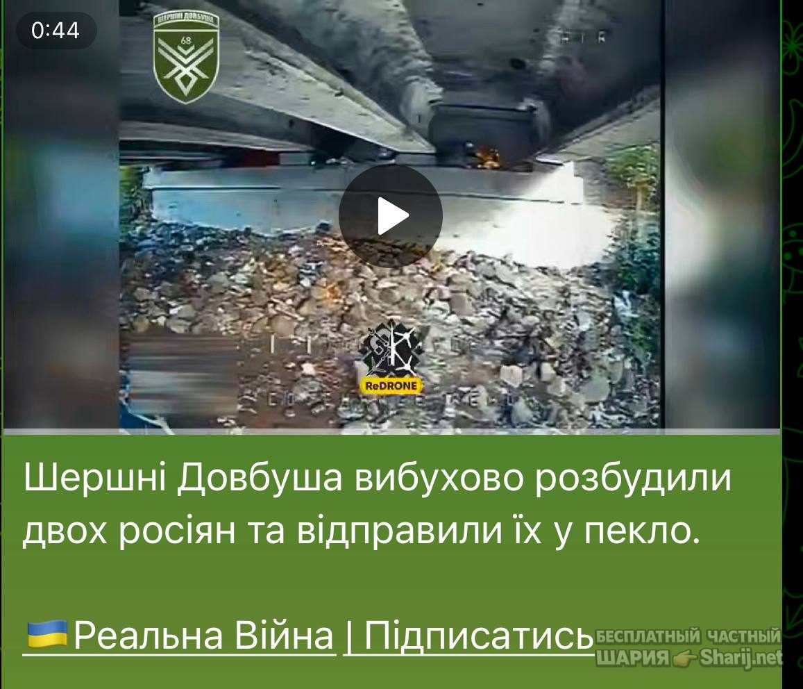 Анатолий Шарий частный канал — фото из публикации