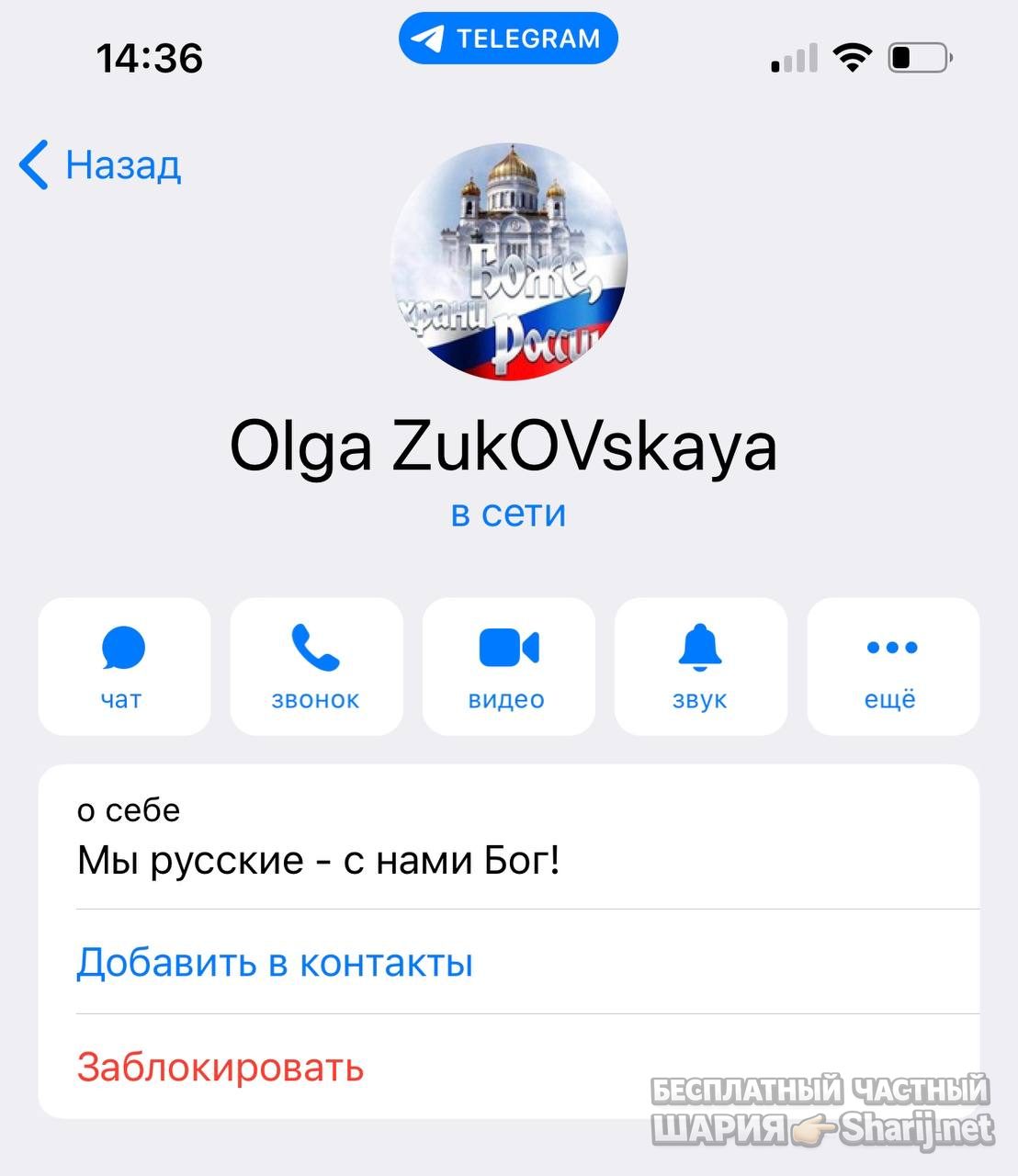 Анатолий Шарий частный канал — фото из публикации
