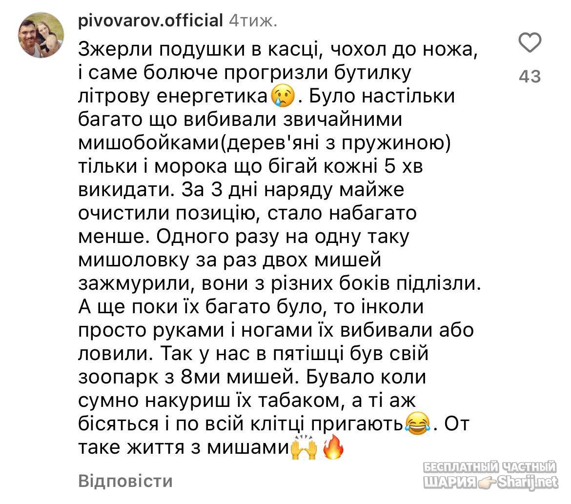 Анатолий Шарий частный канал — фото из публикации