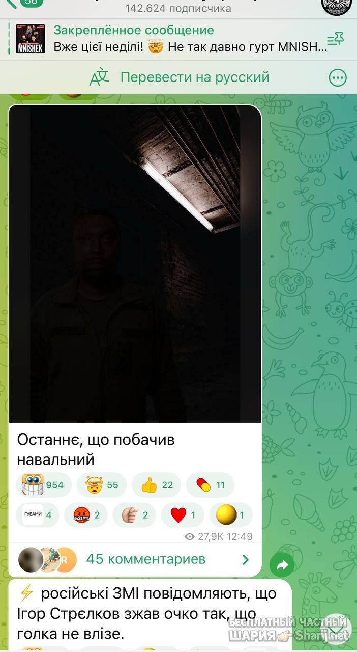 Анатолий Шарий частный канал — фото из публикации