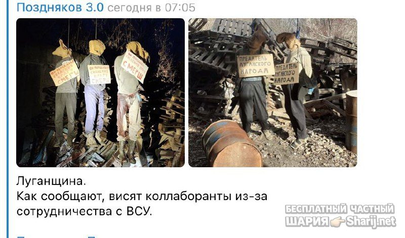 Анатолий Шарий частный канал — фото из публикации