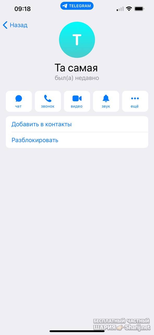Анатолий Шарий частный канал — фото из публикации