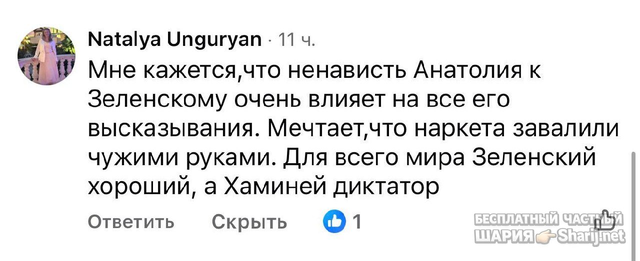 Анатолий Шарий частный канал — фото из публикации