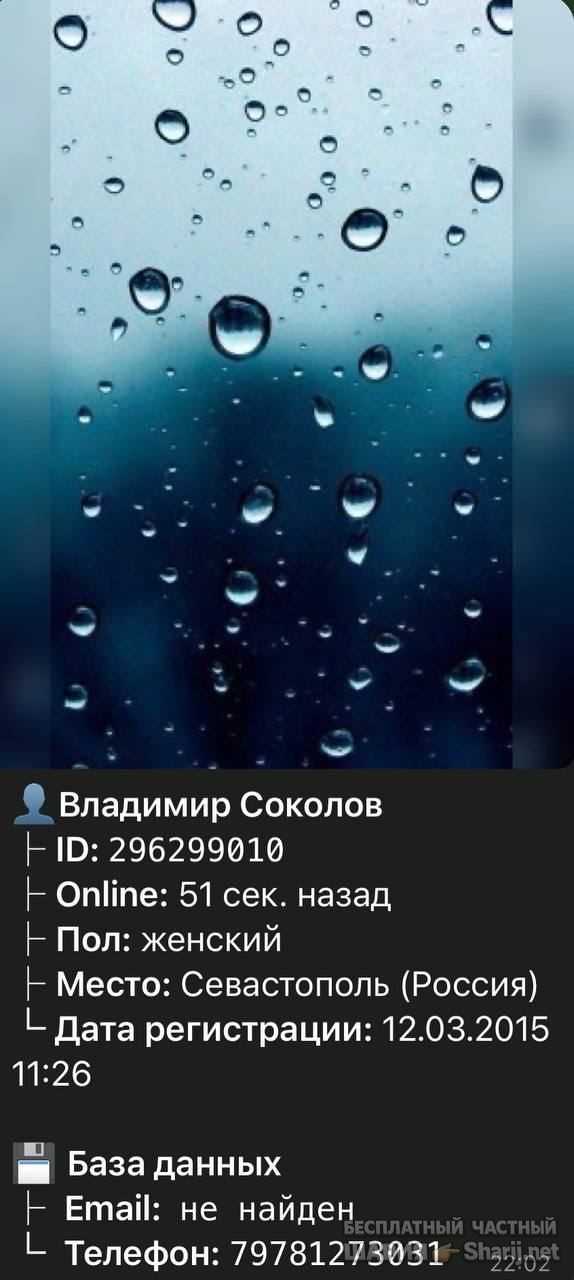 Анатолий Шарий частный канал — фото из публикации