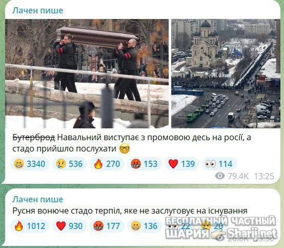 Анатолий Шарий частный канал — фото из публикации