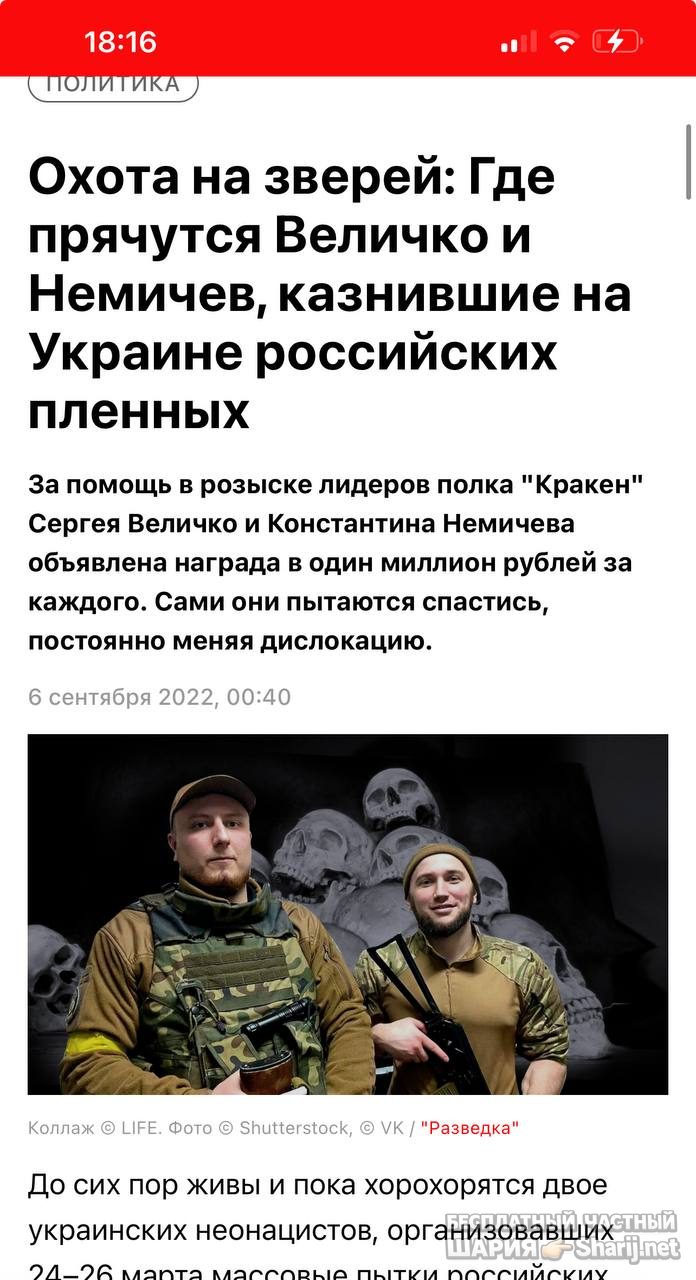 Анатолий Шарий частный канал — фото из публикации