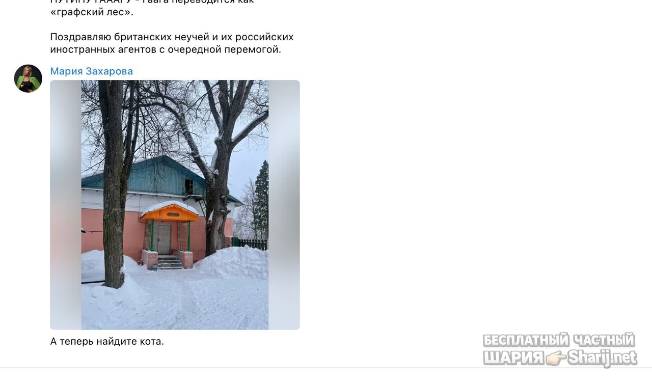 Анатолий Шарий частный канал — фото из публикации