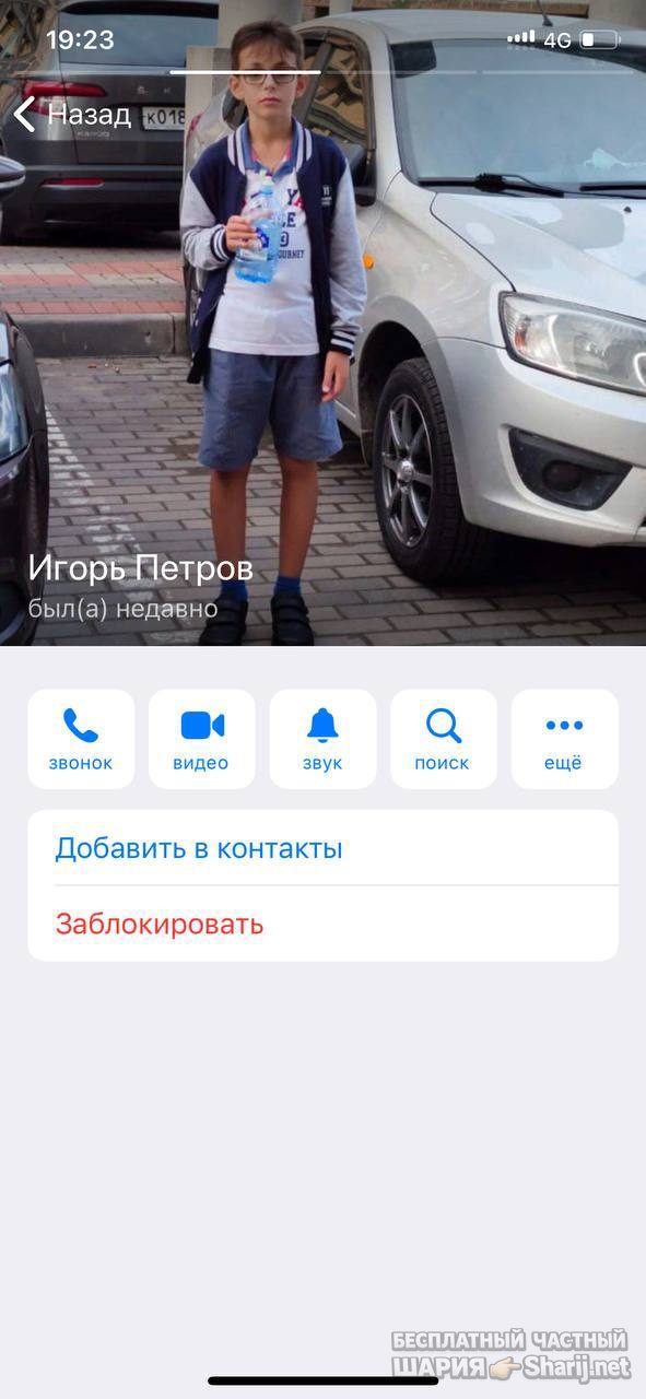 Анатолий Шарий частный канал — фото из публикации
