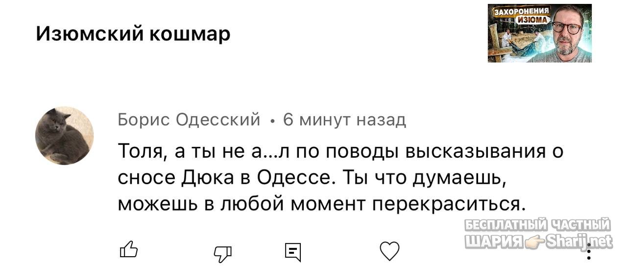 Анатолий Шарий частный канал — фото из публикации