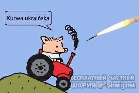 Анатолий Шарий частный канал — фото из публикации