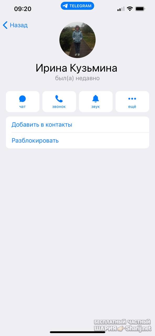Анатолий Шарий частный канал — фото из публикации