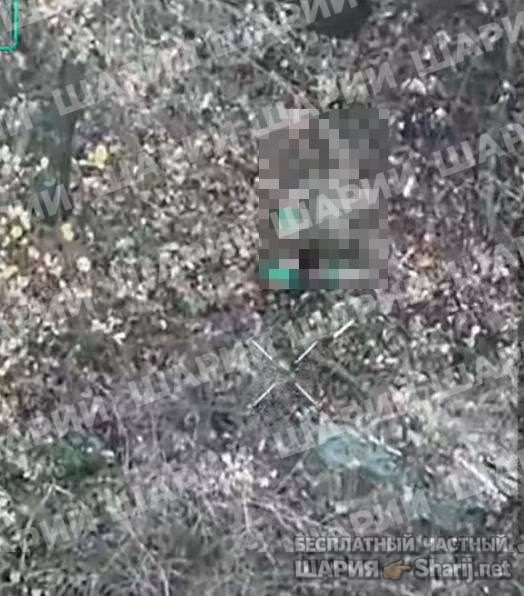 Анатолий Шарий частный канал — фото из публикации
