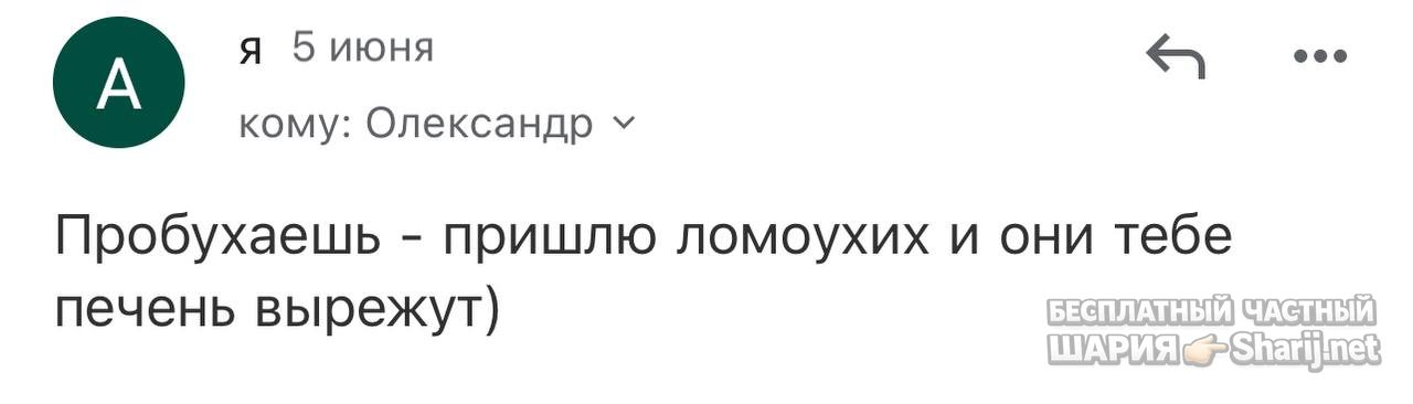 Анатолий Шарий частный канал — фото из публикации