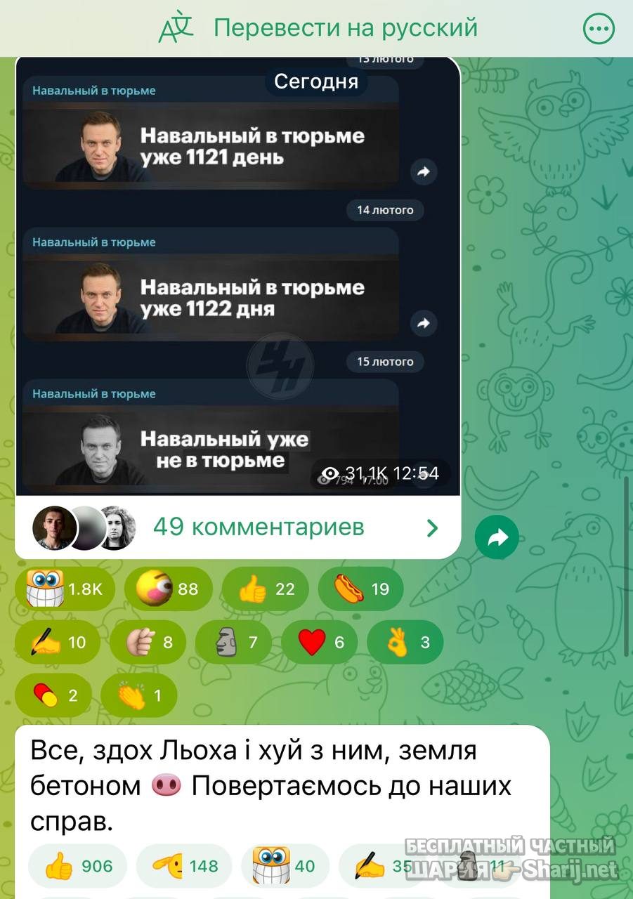 Анатолий Шарий частный канал — фото из публикации