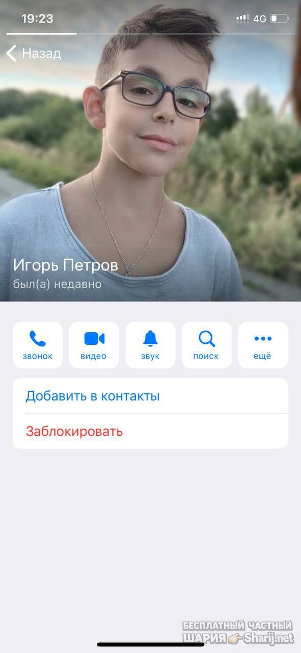 Анатолий Шарий частный канал — фото из публикации